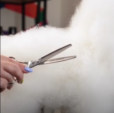 Обзор ножниц KOMONDOR KC-27