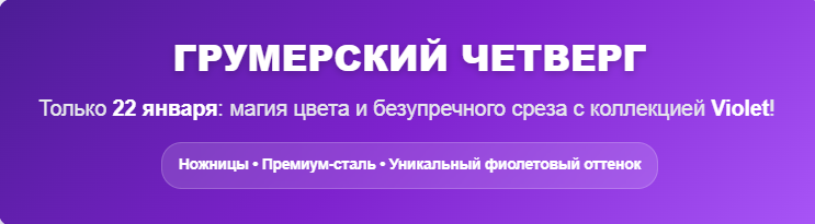 Грумерский четверг: магия цвета и безупречного среза с коллекцией Violet! 