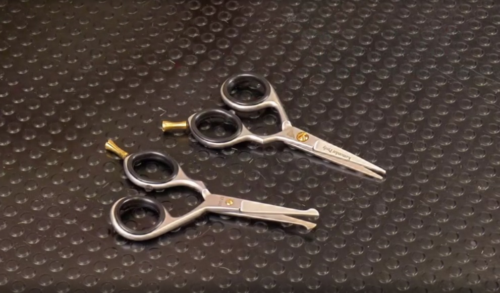 Обзор ножниц Komondor Profy прямые с тупыми концами для кошек 4,5 дюймов (11 см) KP-054B