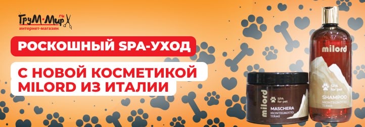 Монтегртто