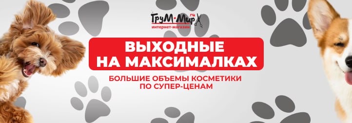 Выходные на МАКСИмалках — апгрейд салона с MILORD!