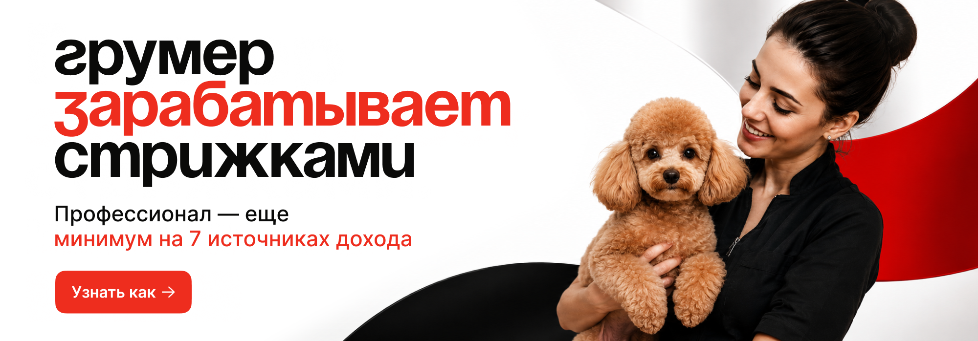 Грумер зарабатывает