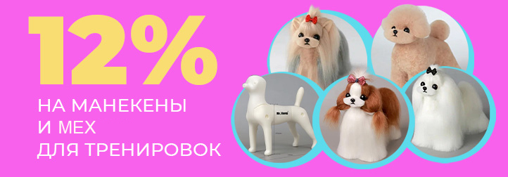 MODEL DOG - 12% 