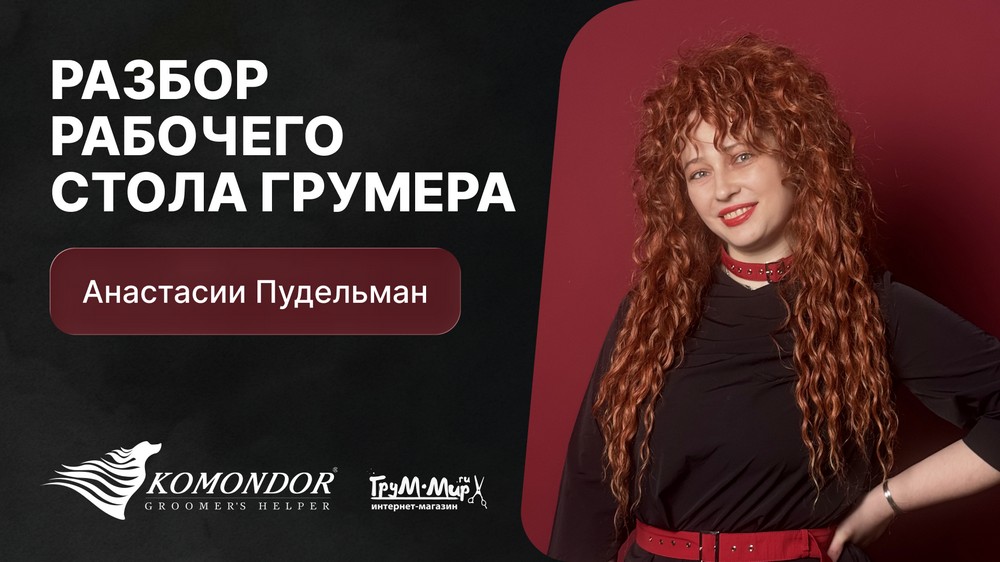 Разбор рабочего стола грумера - Анастасии Пудельман