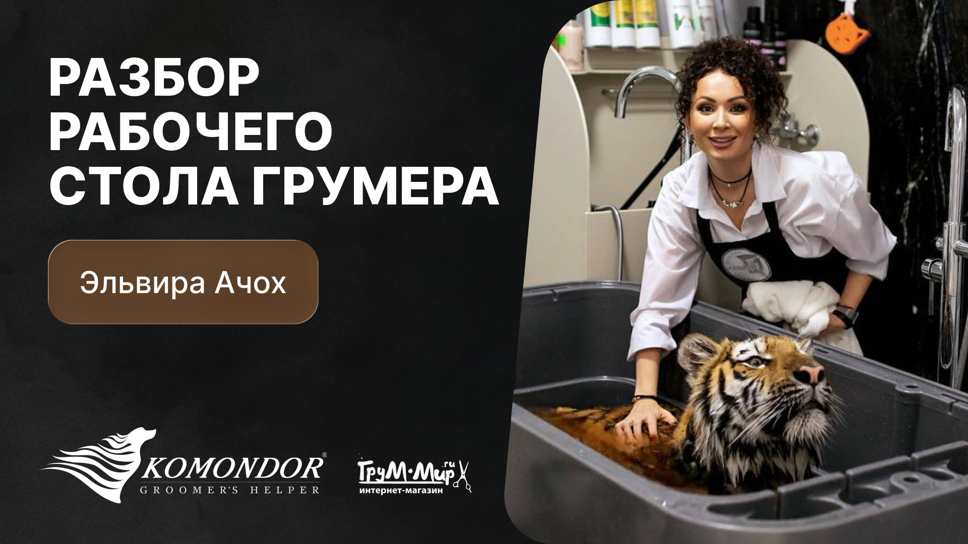 Разбор рабочего стола грумера - Эльвира Ачох