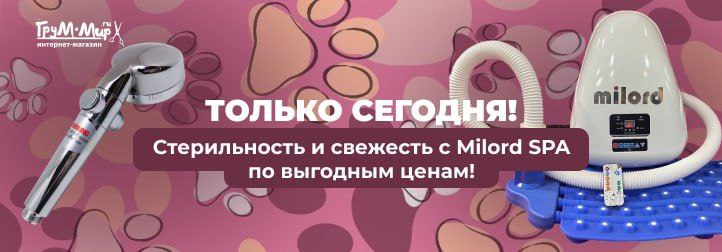 Вторник эффективного груминга: Milord SPA со скидкой до 10%!