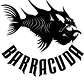 Barracuda