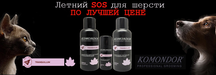 Летняя защита для вашего питомца: SOS-уход от жары и солнца. Косметика со скидкой!