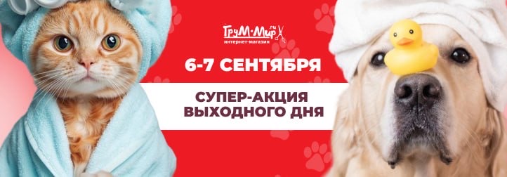 Выходные с KOMONDOR:  профессиональные инструменты со скидками до 25%!