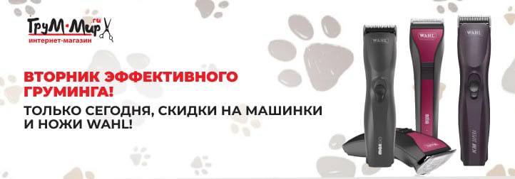 Вторник эффективного груминга: машинки WAHL с максимальной выгодой!
