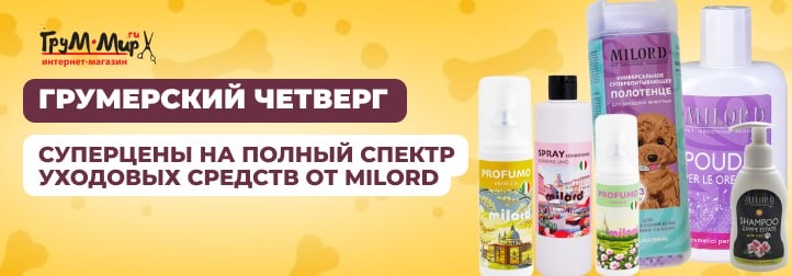 ГЧ_18.09