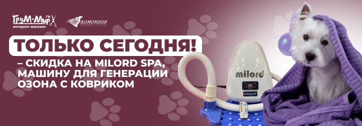 Акция вторника: Milord SPA со скидками — профессиональная озонотерапия!