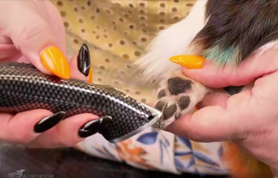 Обзор тримера Komondor K-778