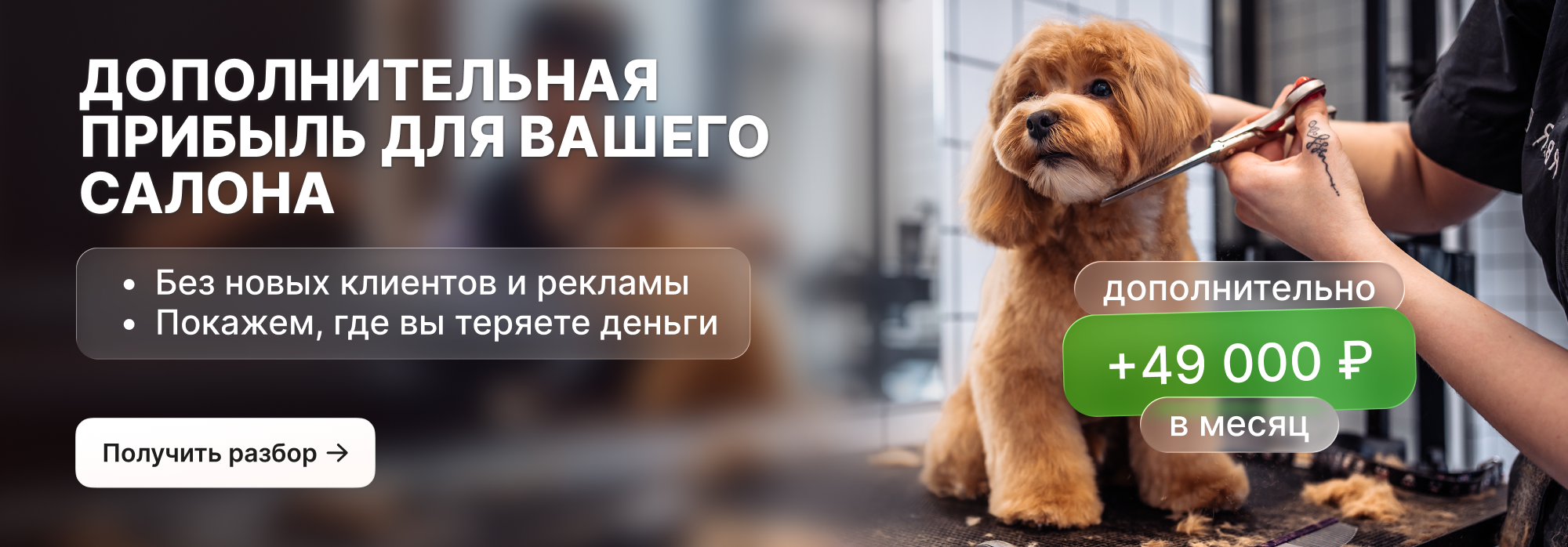 Опт крео 2.1
