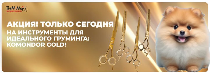 Вторник для профессионалов: ножницы Komondor Gold — мировое качество без аналогов!