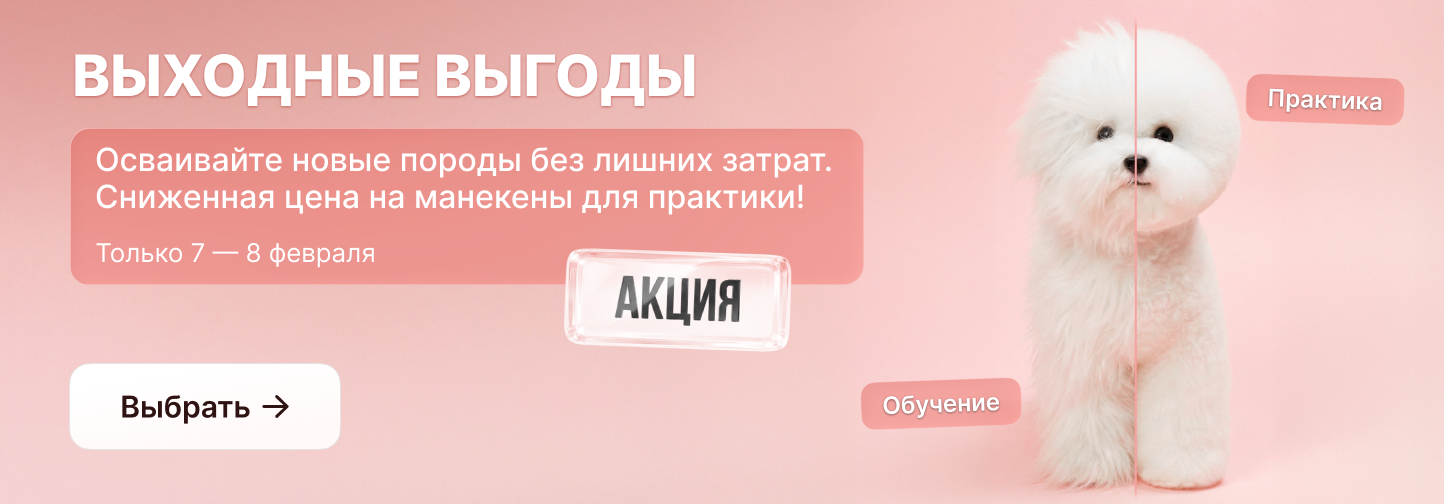 Выходные выгоды: скидка на MODEL DOG! Тренируйся без стресса!