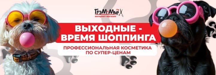 АКЦИЯ ВЫХОДНОГО ДНЯ: KOMONDOR  косметика