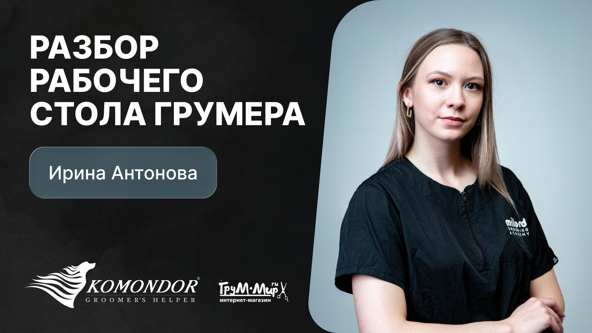 Разбор рабочего стола грумера - Ирины Антоновой