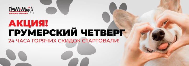 Горячее предложение — Komondor Bluemarine со скидками только 14 августа!