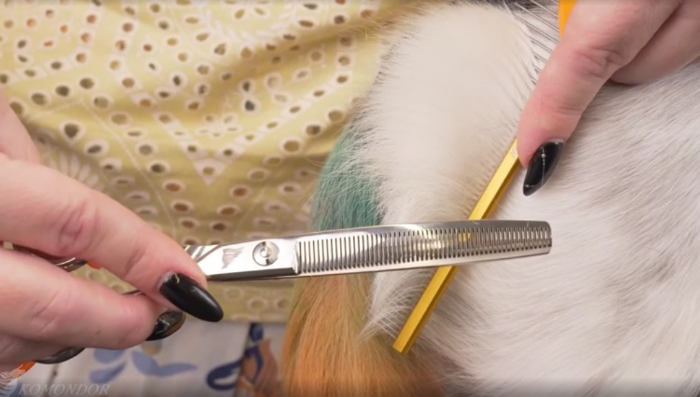 Обзор ножниц Komondor изогнутые филировочные 7,5' KC-37 Classic