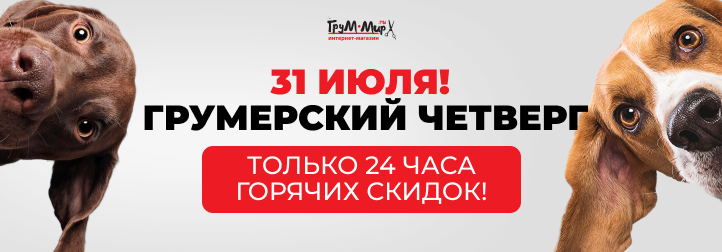 ГРУМЕРСКИЙ ЧЕТВЕРГ 31.07 — ТОЛЬКО 24 ЧАСА ГОРЯЧИХ СКИДОК!