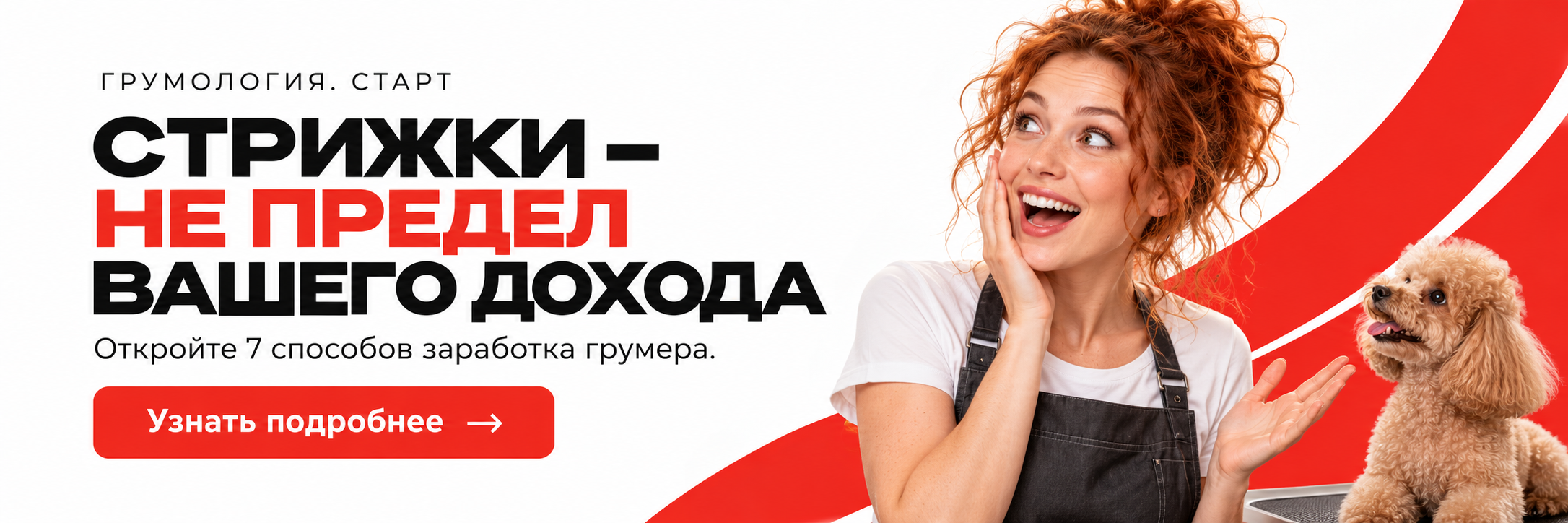 Грумер зарабатывает