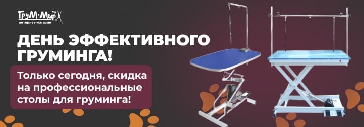 Вторник в Грум-Мире: 09.09 день эффективного груминга!