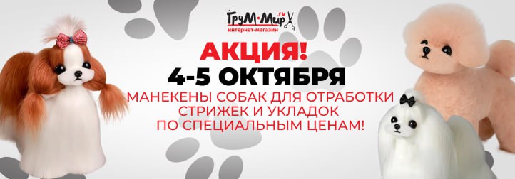 Выходные для профессионалов: манекены ModelDog по невероятным ценам!