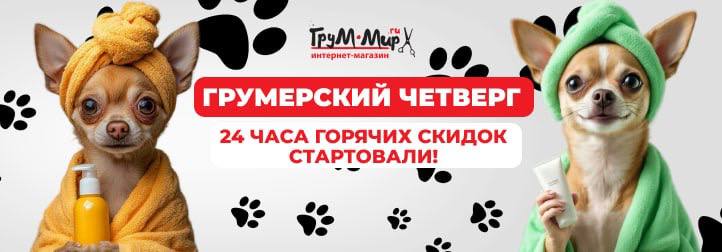 Только 28 августа: готовьтесь к сезону с акцией на компрессоры и наборы!