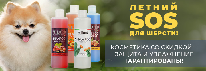 милорд  шампунь