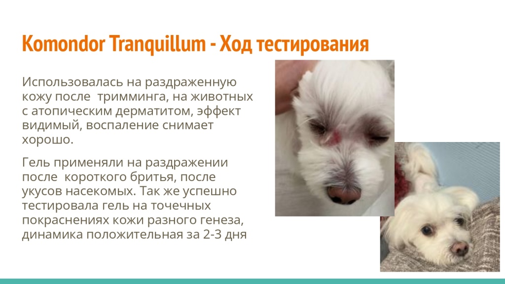 Исследование на базе академии Milord 20