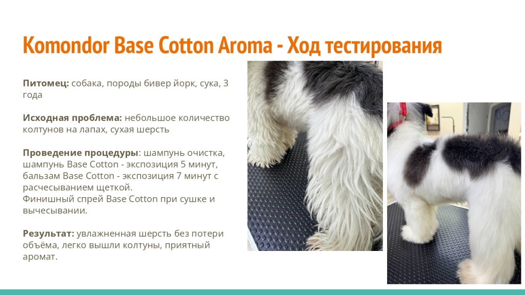 Исследование на базе академии Milord 31