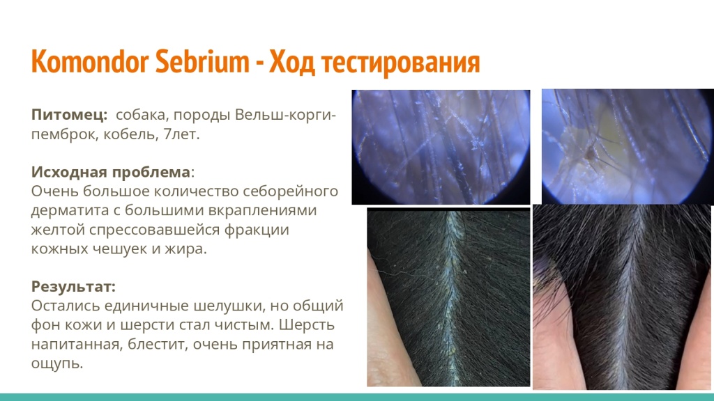 Исследование на базе академии Milord 9