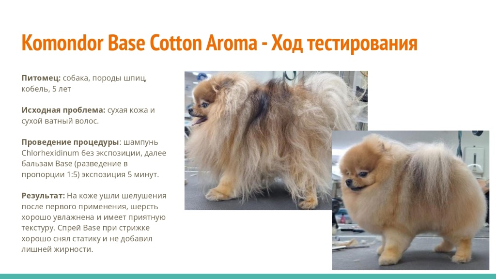 Исследование на базе академии Milord 33