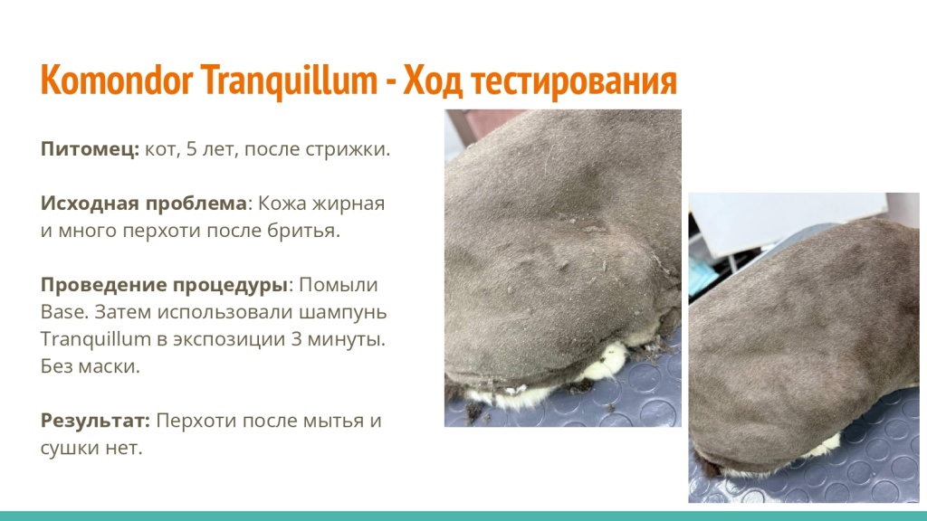 Исследование на базе академии Milord 19