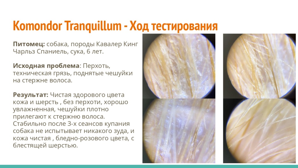 Исследование на базе академии Milord 16