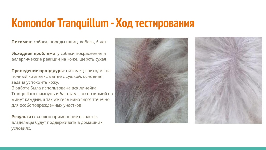 Исследование на базе академии Milord 18