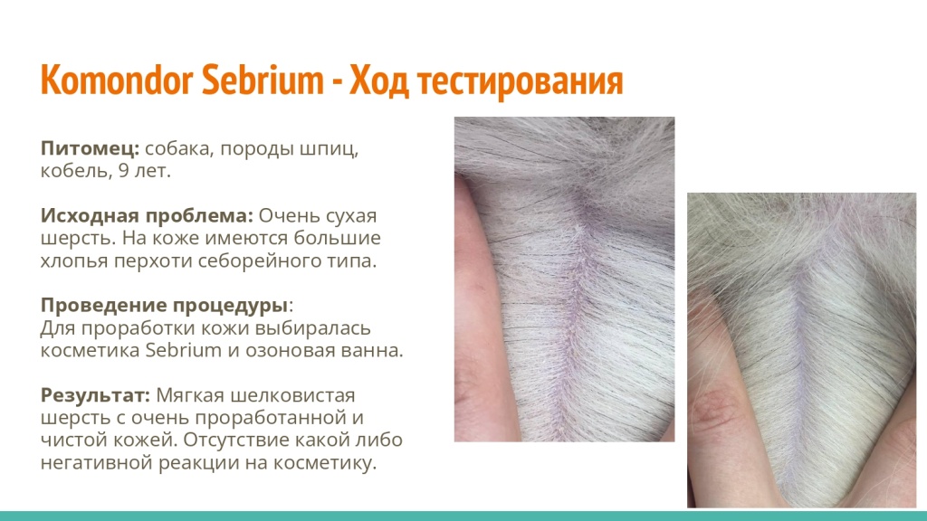 Исследование на базе академии Milord 10