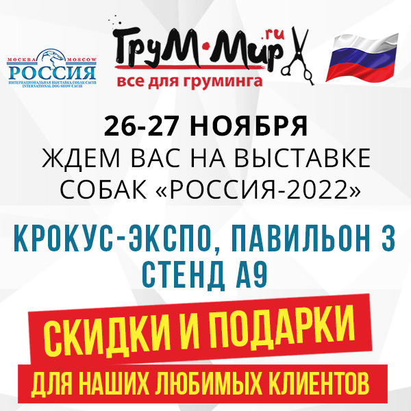Россия-2022-2 600х600.jpg