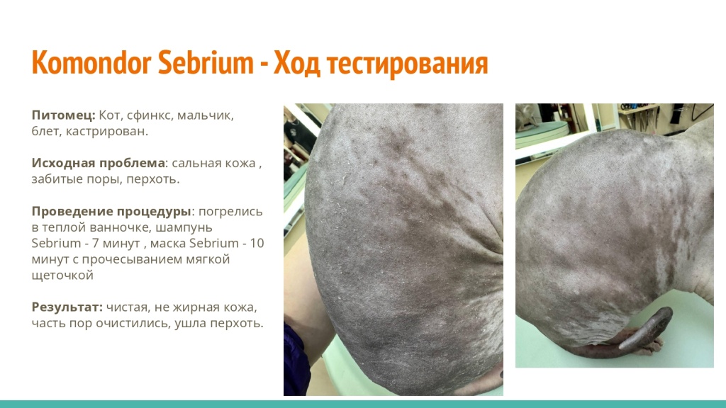 Исследование на базе академии Milord 11