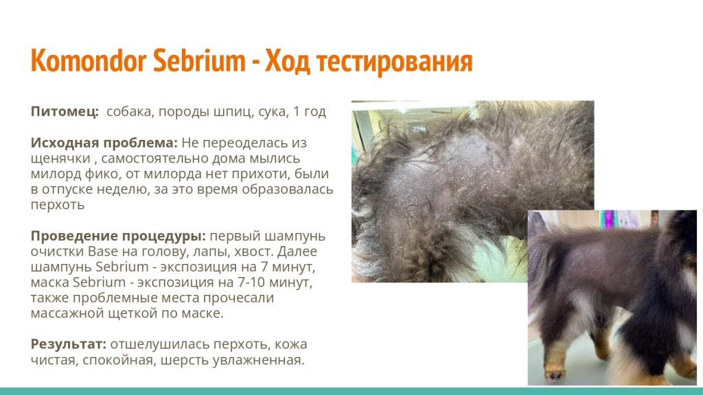 Исследование на базе академии Milord 7