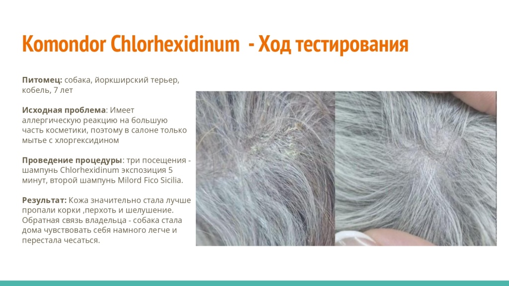 Исследование на базе академии Milord 26