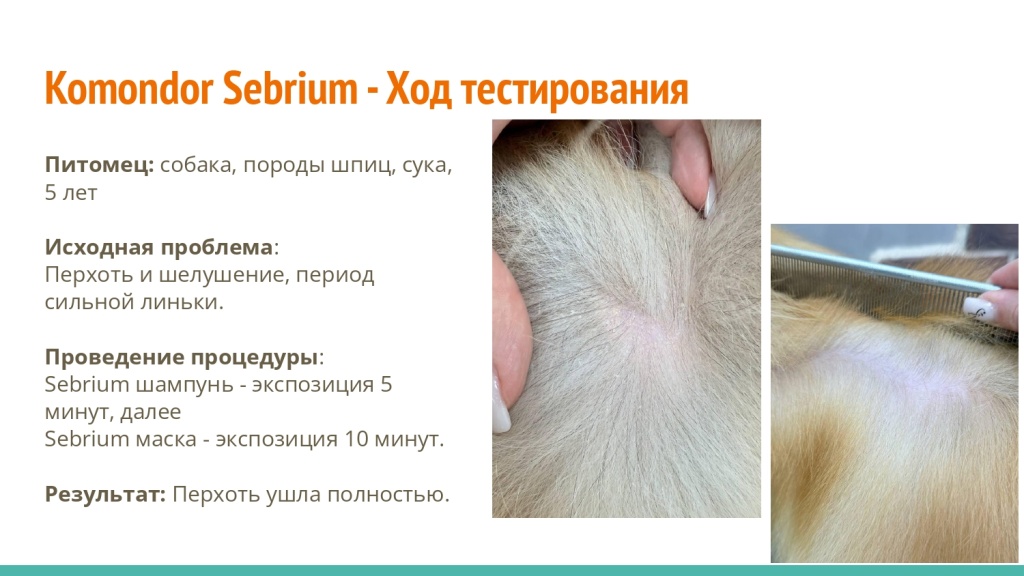 Исследование на базе академии Milord 8