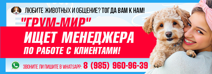 Ищем менеджера_722х252.jpg