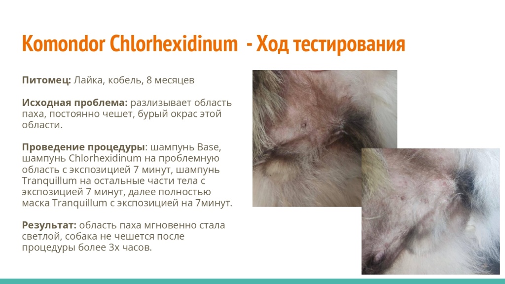 Исследование на базе академии Milord 24