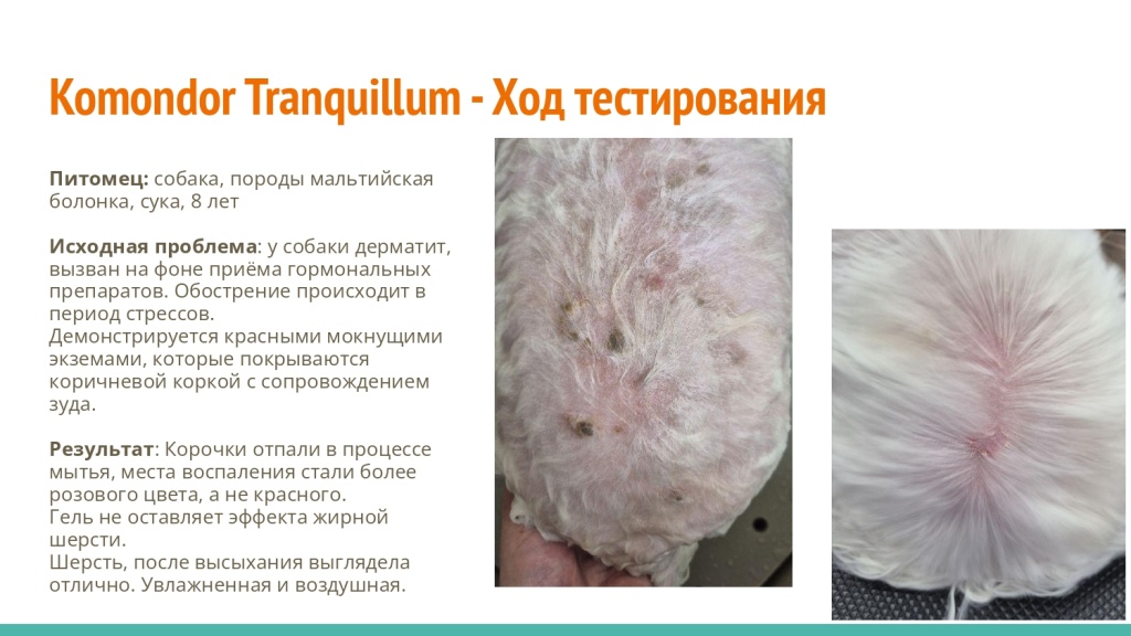 Исследование на базе академии Milord 15