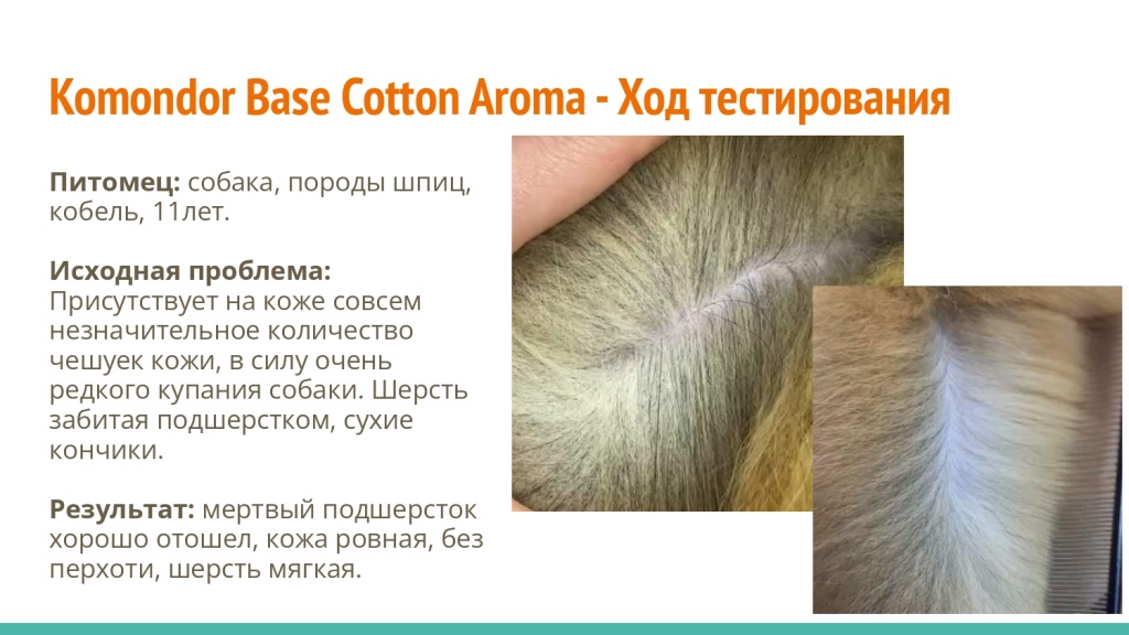 Исследование на базе академии Milord 32