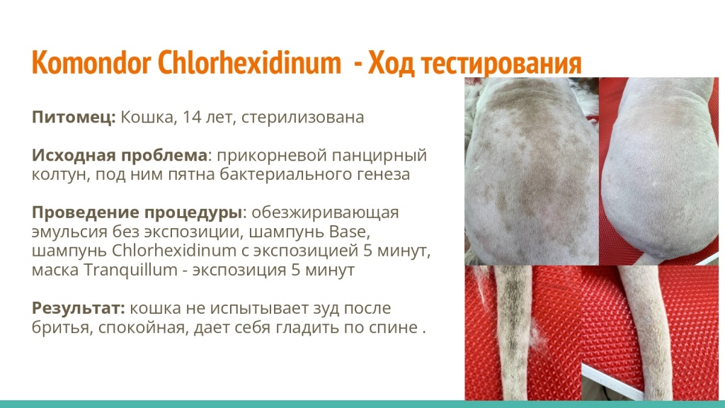 Исследование на базе академии Milord 25