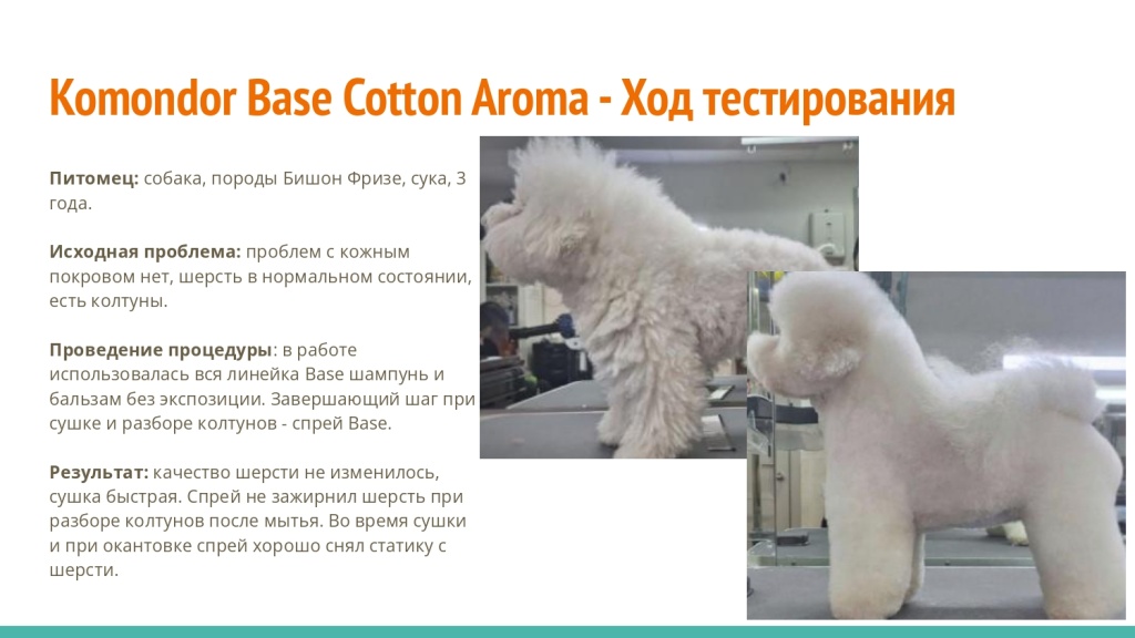 Исследование на базе академии Milord 34