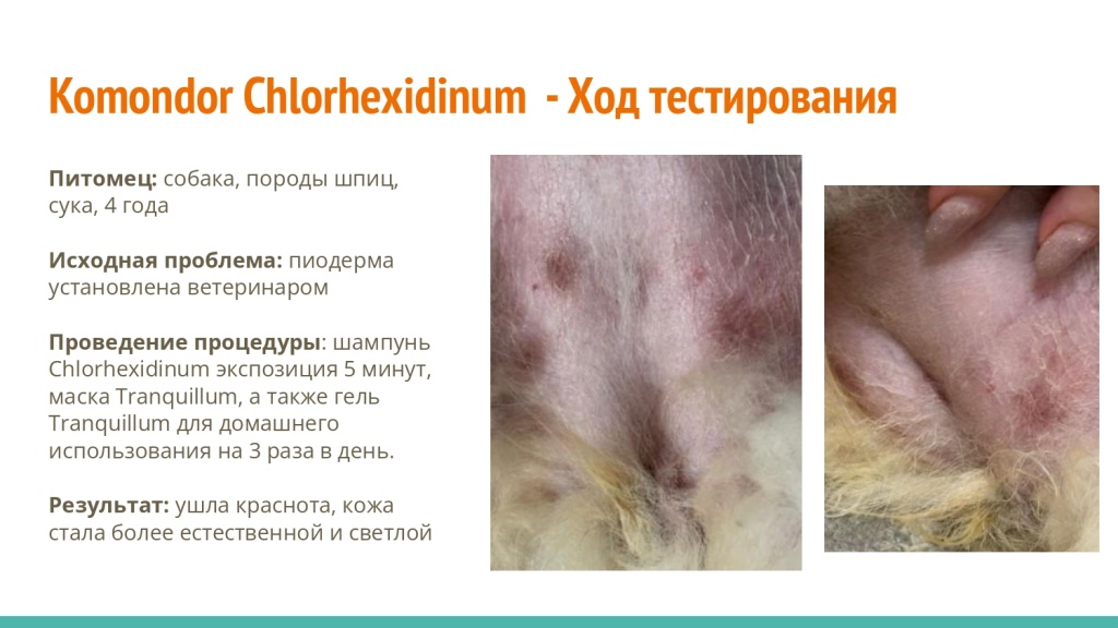 Исследование на базе академии Milord 27